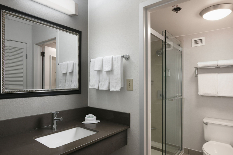 Bathroom 4, Courtyard Dallas Las Colinas, Irving