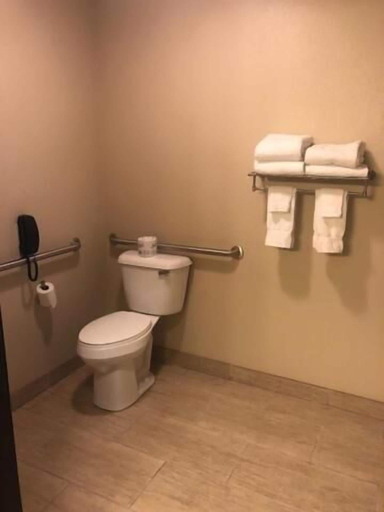 Bathroom 4, Cobblestone Inn & Suites – Fort Dodge, Webster