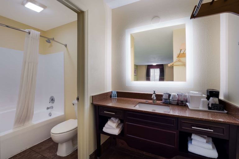 Bathroom 5, SureStay Hotel by Best Western Manning, Clarendon
