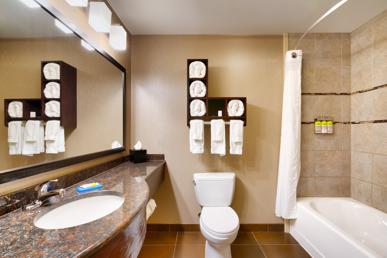 Bathroom 2, Holiday Inn Express & Suites BUTTE by IHG, Silver Bow