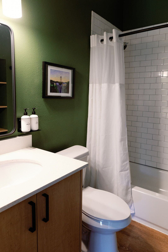 Bathroom 4, Cation on the Guadalupe, Comal