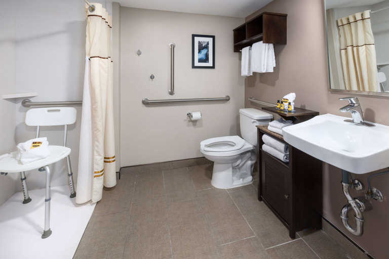Bathroom 4, Best Western Plus Ramkota Hotel, Minnehaha