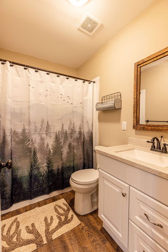 Bathroom 4, Three Little Bears Retreat, Swain