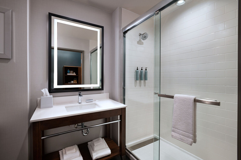 Bathroom 4, Four Points by Sheraton Fort Worth North, Fort Worth