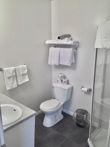 Bathroom 4, Stay in Gros Morne, Division No. 9