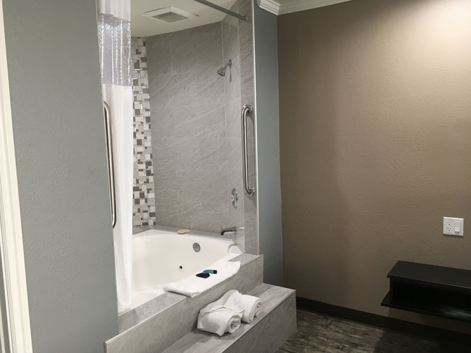 Bathroom 4, Laguna Inn & Suites, Orange