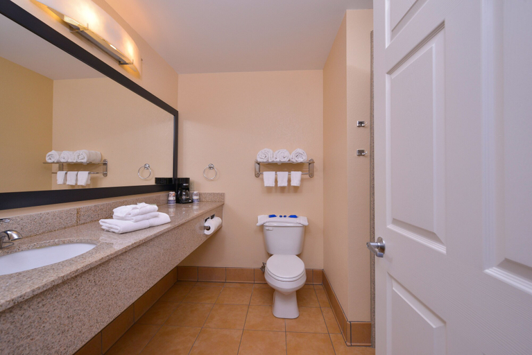 Bathroom 5, Quality Inn & Suites, Lycoming