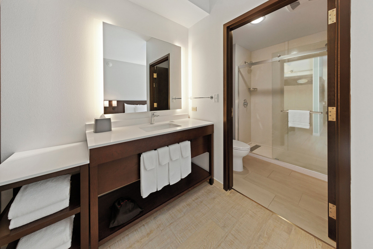 Bathroom 4, Hyatt Place West Palm Beach/Downtown, Palm Beach