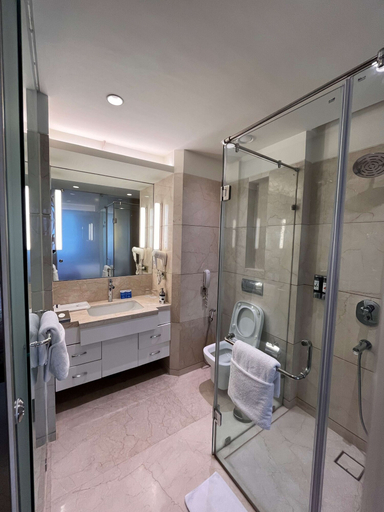 Bathroom 5, Aditya Park Hyderabad, Ranga Reddy