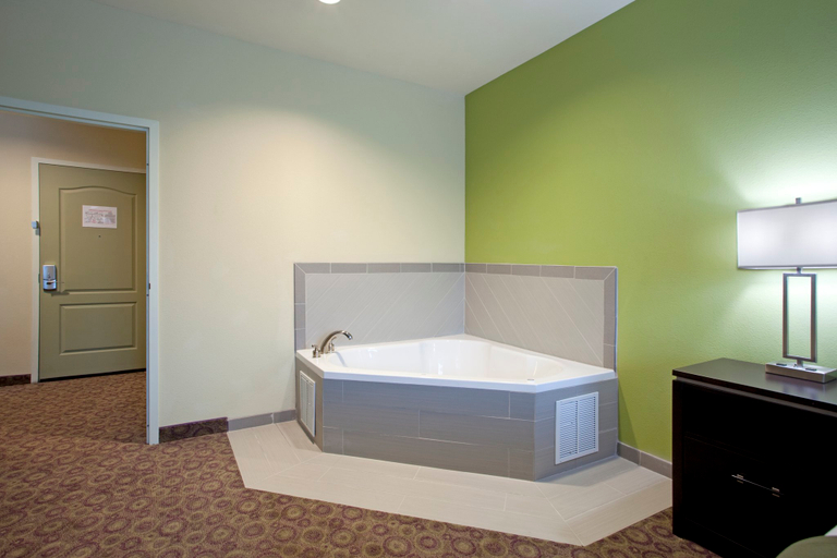Others 2, Holiday Inn Express & Suites CLEMSON - UNIV AREA by IHG, Pickens