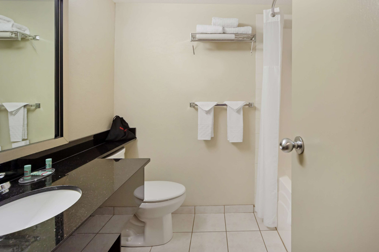 Bathroom 5, Best Western High Road Inn, Division No. 14
