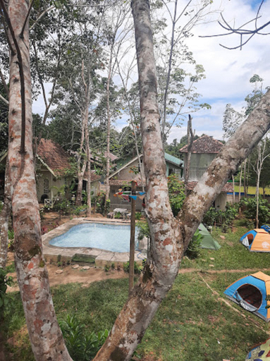Others 3, Bangkal Forest, Banjarbaru