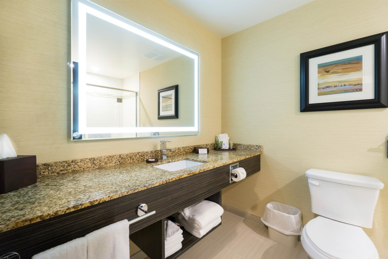 Bathroom 3, Best Western Plus Drayton Valley, Division No. 11