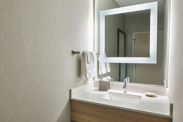 Bathroom 5, Springhill Suites By Marriott Memphis Downtown, Shelby