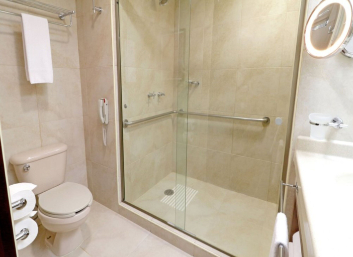 Bathroom 3, Holiday Inn Hotel & Suites Medica Sur by IHG, Mexico City