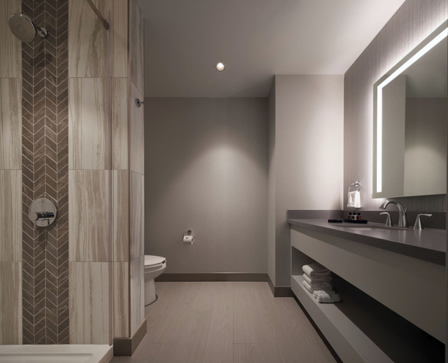 Bathroom 4, Great Canadian Casino Resort Toronto, Toronto
