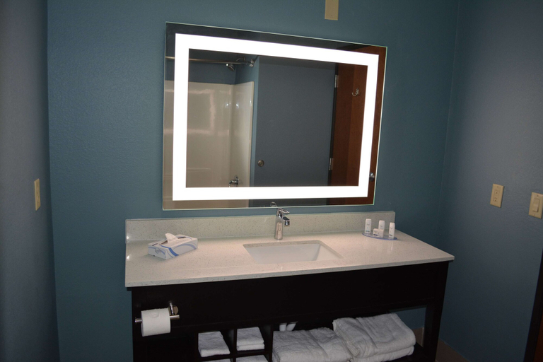 Bathroom 5, Wingate by Wyndham College Station South, Brazos