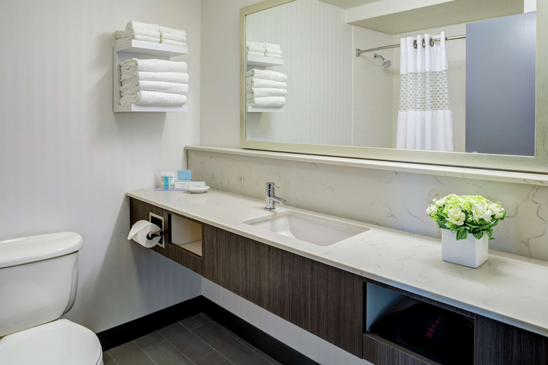 Bathroom 4, Hampton Inn & Suites Palm Desert, Riverside