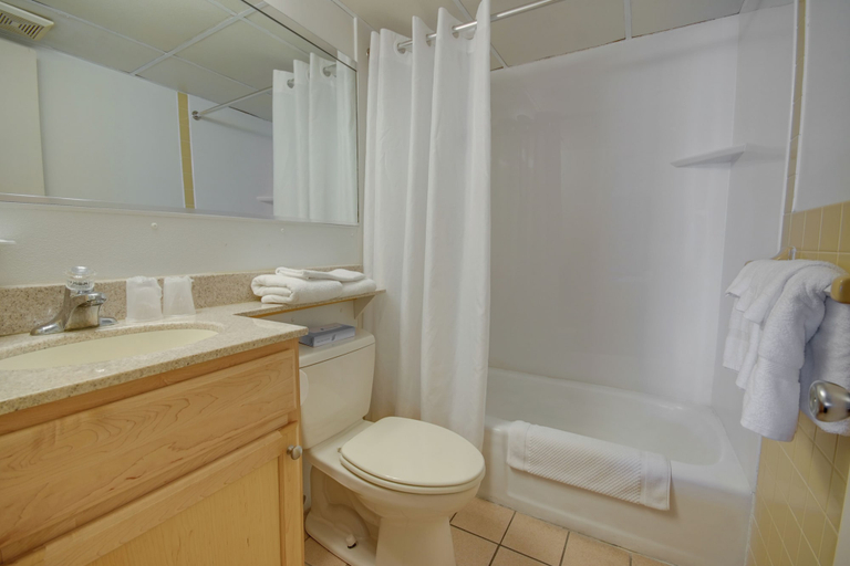 Bathroom 5, Flamingo Motel, Worcester