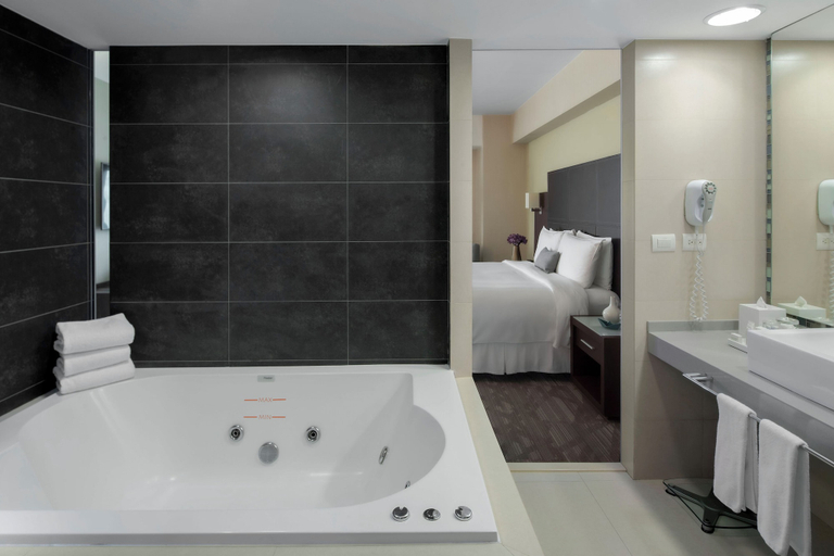 Bathroom 5, Hotel Novit, Mexico City