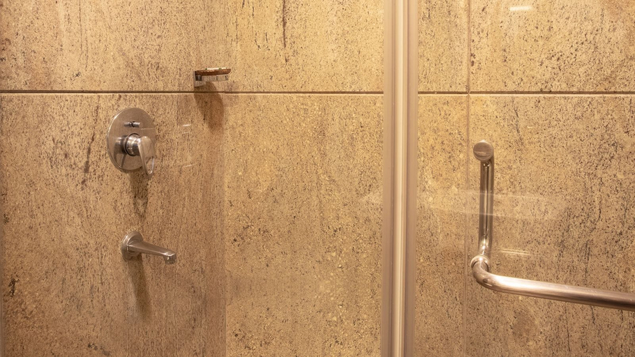Bathroom 5, Hotel Woodlands, Bangalore
