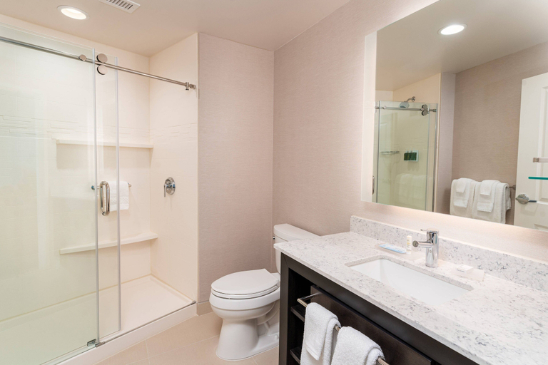 Bathroom 4, Residence Inn by Marriott Grand Rapids Downtown, Kent