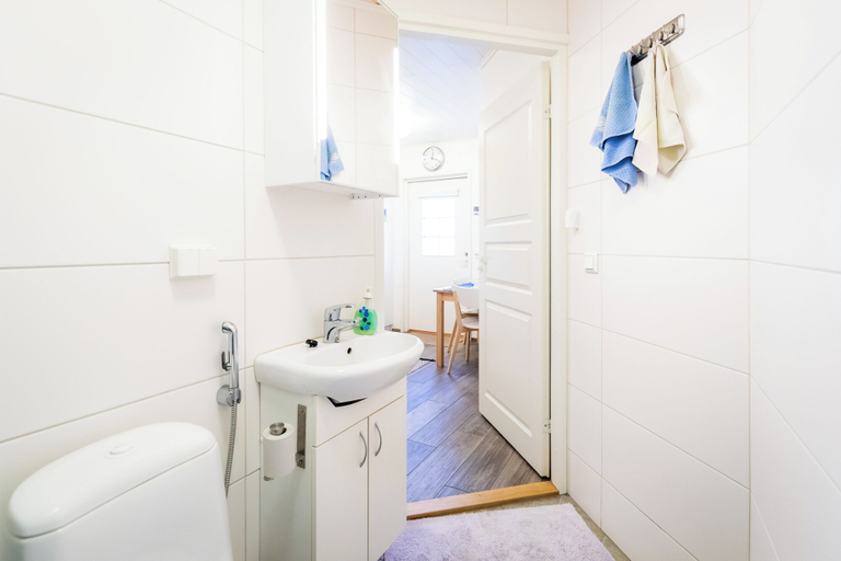 Bathroom 4, Lossisaari, North Savonia