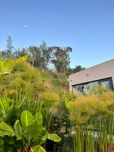 Exterior & Views 2, Gaia Experience, Rionegro