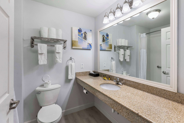 Bathroom 3, Best Western Plus MidAmerica Hotel, Saint Clair