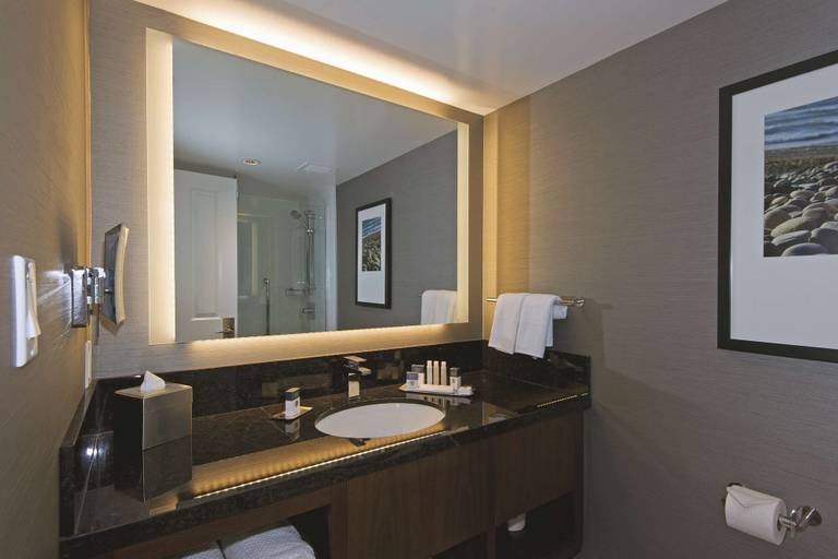 Bathroom 4, DoubleTree by Hilton Hotel & Suites Victoria, Capital