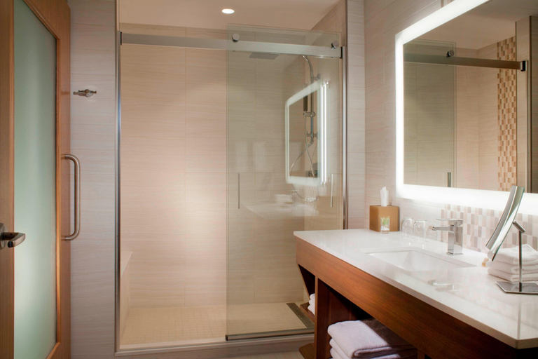 Bathroom 5, The Westin Dallas Downtown, Dallas
