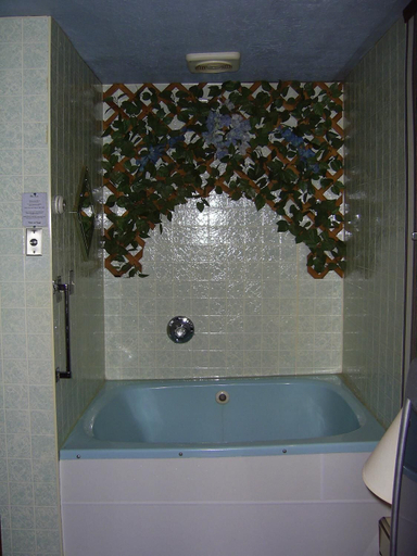 Bathroom 4, Cedar Grove Motel, Blair