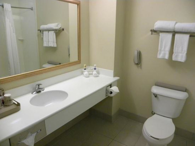 Bathroom 5, Magnuson Hotel Little Rock South, Pulaski