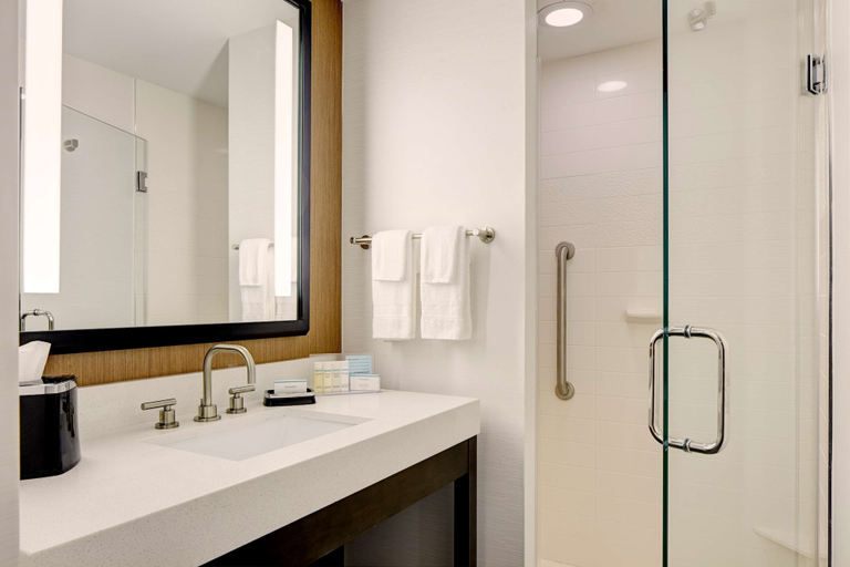 Bathroom 4, Hampton Inn Brooklyn/Downtown, New York