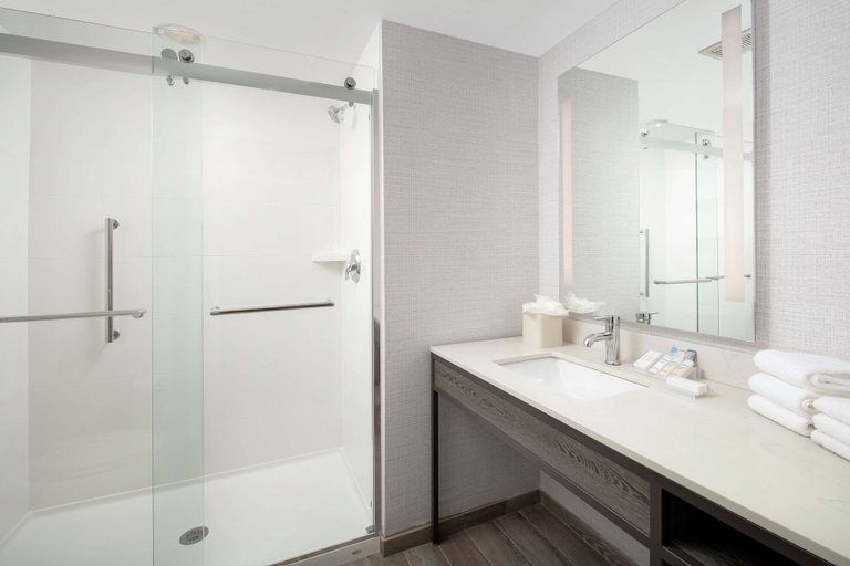 Bathroom 4, Hilton Garden Inn Miami Brickell South, Miami-Dade