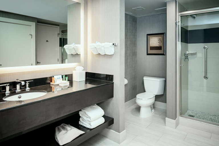 Bathroom 5, Hilton Brentwood/Nashville Suites, Williamson