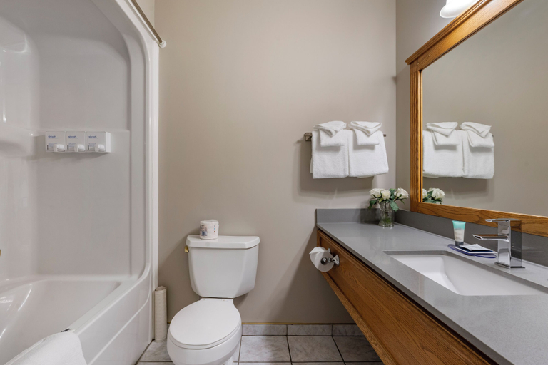Bathroom 4, Regent Hotel, Columbia-Shuswap