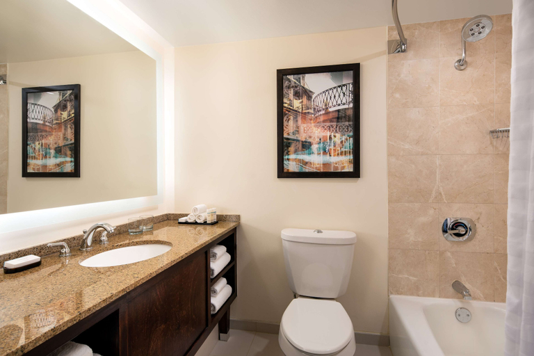 Bathroom 5, Embassy Suites by Hilton New Orleans, Orleans