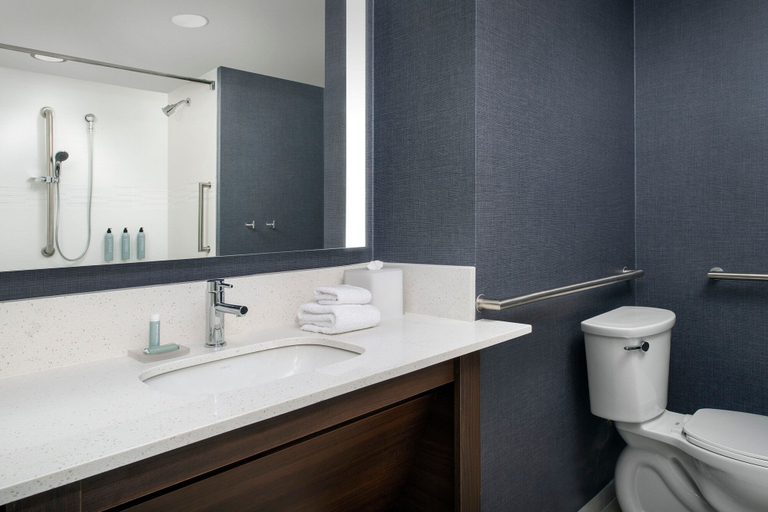 Bathroom 4, Residence Inn by Marriott Jacksonville Downtown, Duval