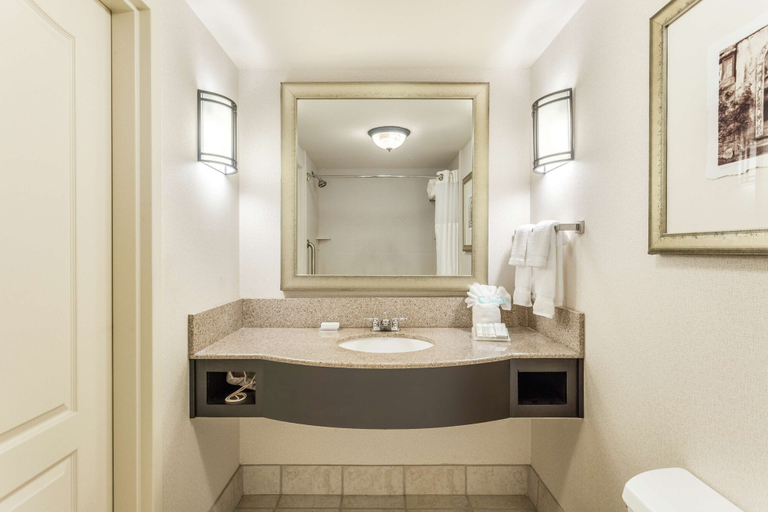 Bathroom 4, Hilton Garden Inn Gainesville, Hall