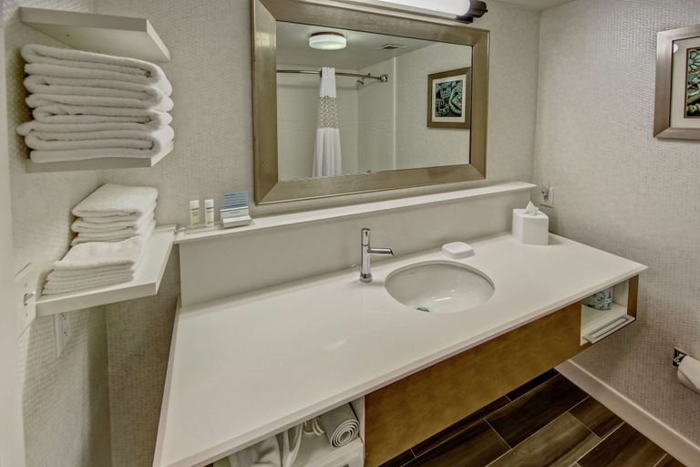 Bathroom 4, Hampton Inn Kayenta, Navajo