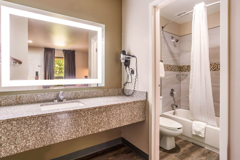 Bathroom 4, Econo Lodge Inn & Suites, Rutherford