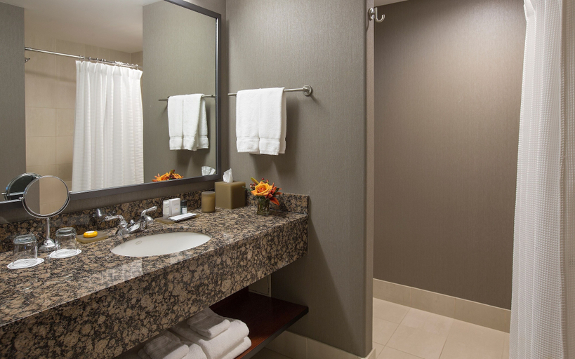 Bathroom 4, The Paramount Hotel, Multnomah