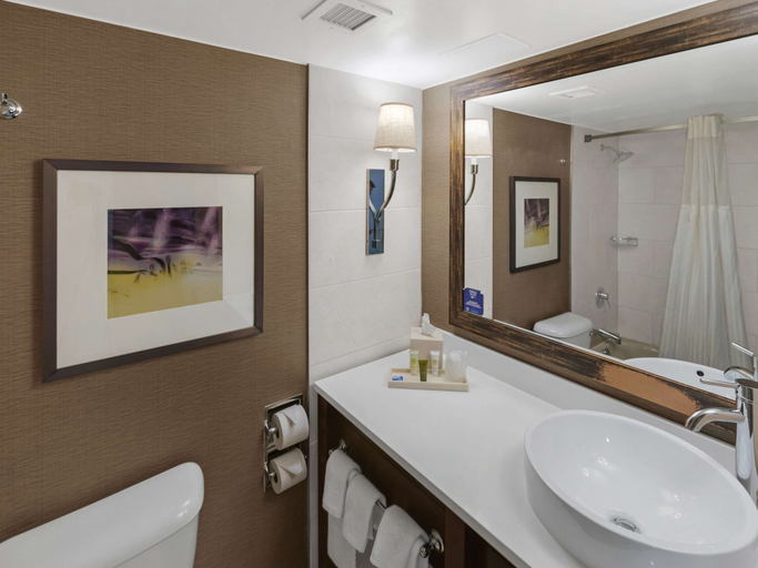 Bathroom 5, Hilton Harrisburg, Dauphin