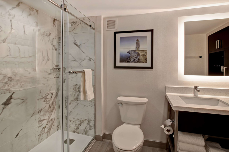 Bathroom 5, Embassy Suites by Hilton Oklahoma City Northwest, Oklahoma