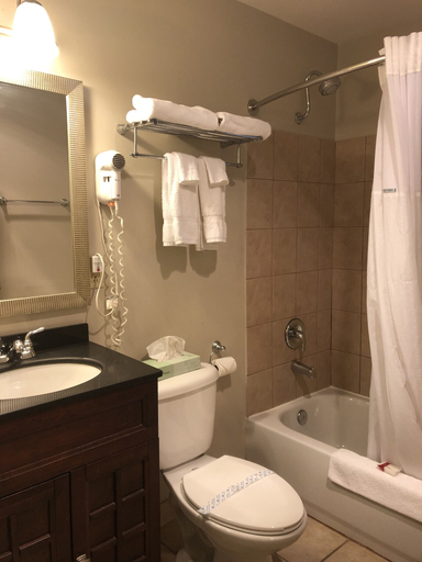 Bathroom 4, Global INN, Coos