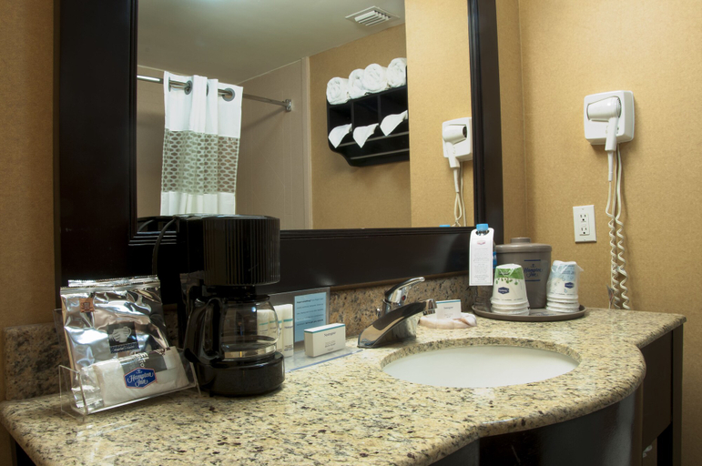 Bathroom 4, Hampton Inn By Hilton Ciudad Victoria, Victoria