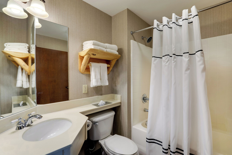 Bathroom 4, Stoney Creek Hotel Columbia, Boone
