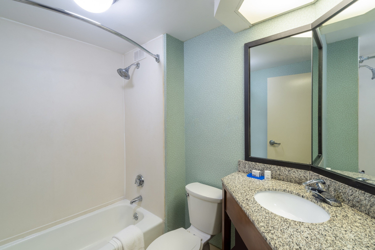 Bathroom 4, Holiday Inn Express FORSYTH by IHG, Monroe