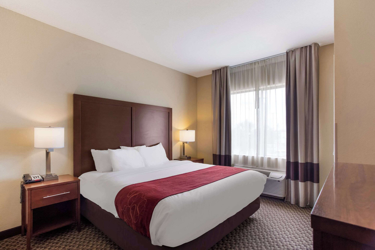 Bedroom 2, Comfort Suites Saraland - North Mobile, Mobile
